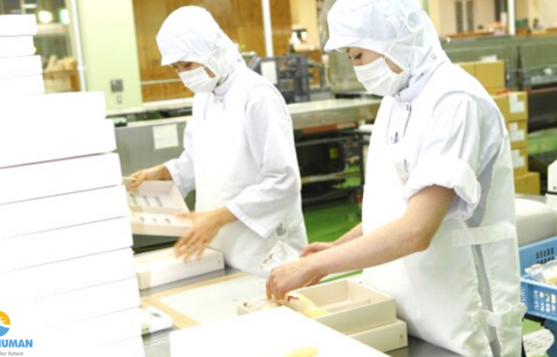 Tuyển dụng Trần Tiên Mekong - Xuất khẩu lao động Nhật Bản Thực tập sinh